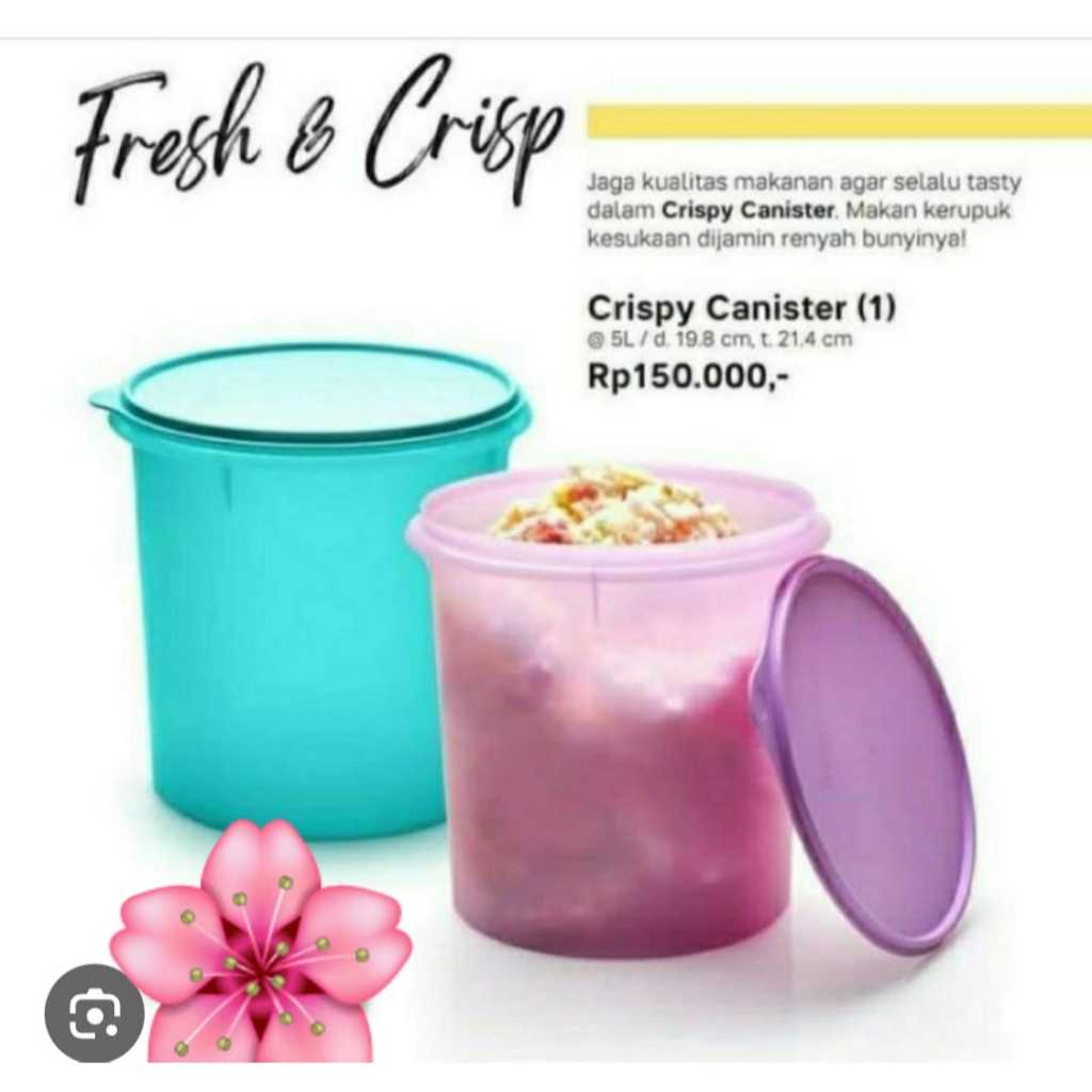 TUPPERWARE CRISPY CANISTER PER PC