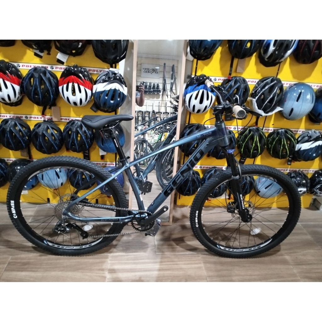 Sepeda MTB Genio M-702
