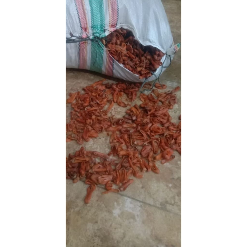 

bunga pala kering lonjong..