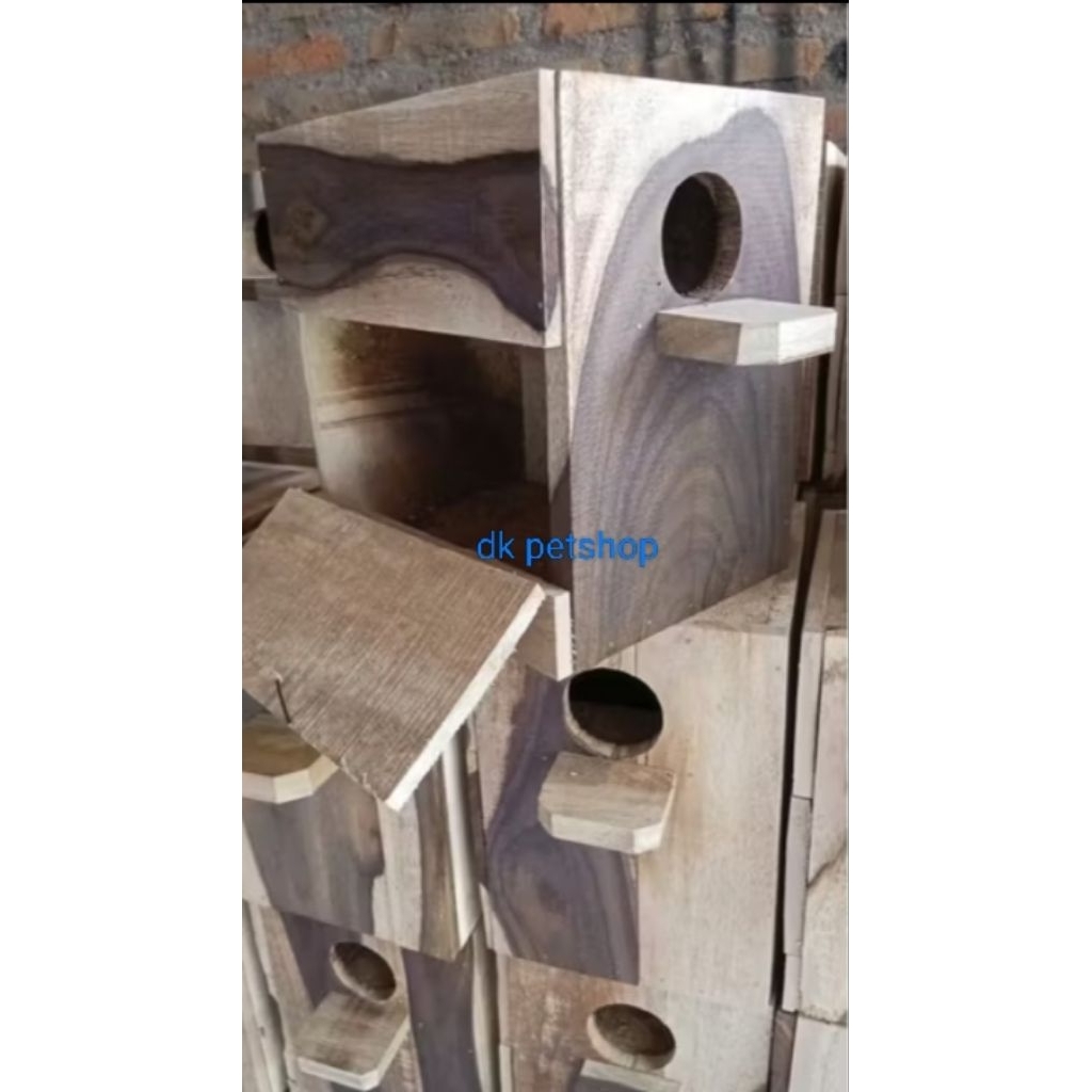 glodok lovebird pintu samping love bird lakbet