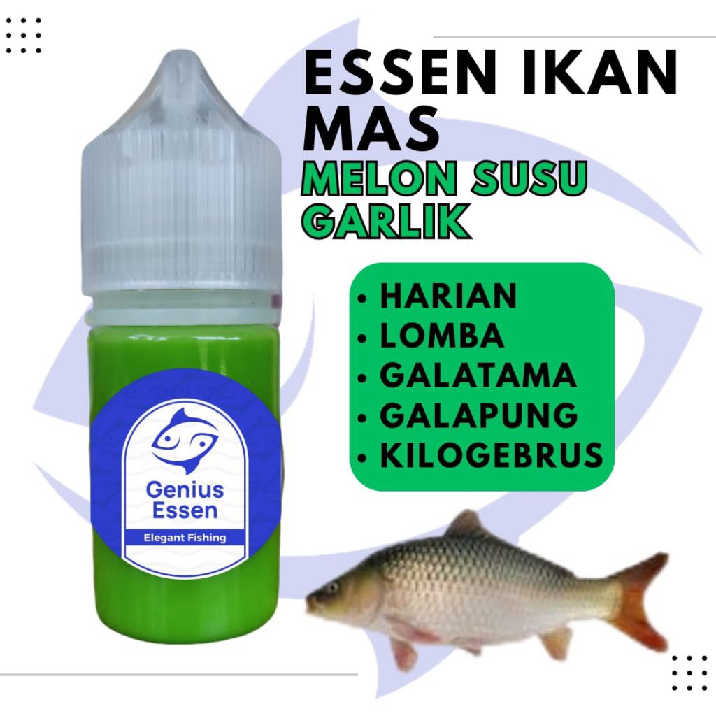 ESSEN IKAN MAS MELON SUSU GARLIK essen ikan mas harian essen ikan mas lomba essen ikan mas galapung 