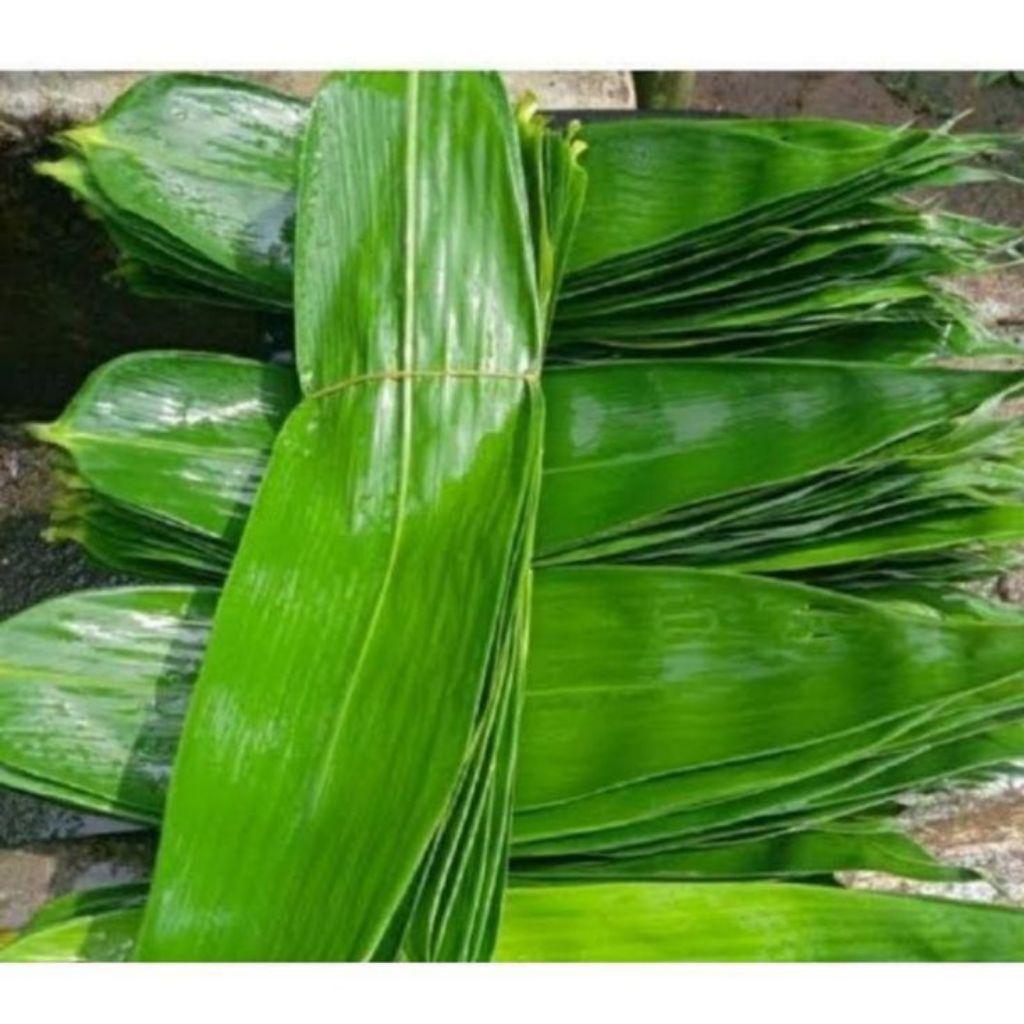 

daun bambu segar 50 lembar | murah meriah | produk berkualitas
