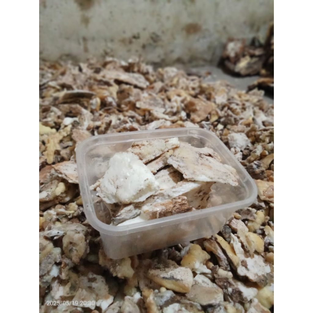 Kemenyan Toba Tapanuli kualitas no.1 1000g