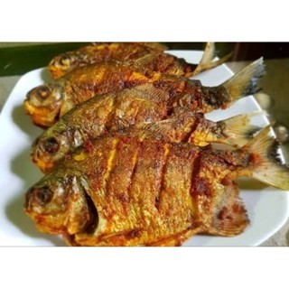 

Ikan Bawal 3 Ekor Marinasi Bumbu Praktis Tinggal Goreng Bakar Pepes Gulai dll