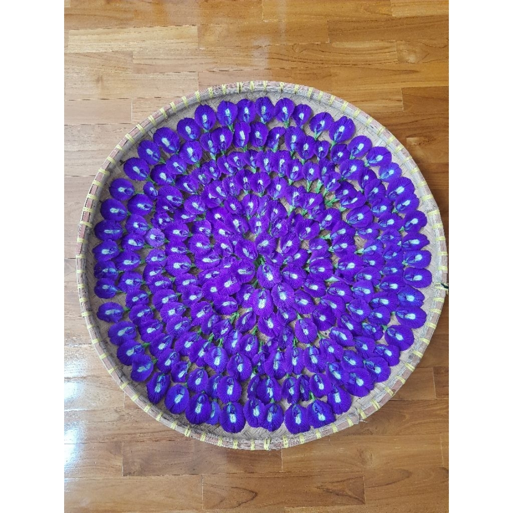 

bunga telang fresh segar