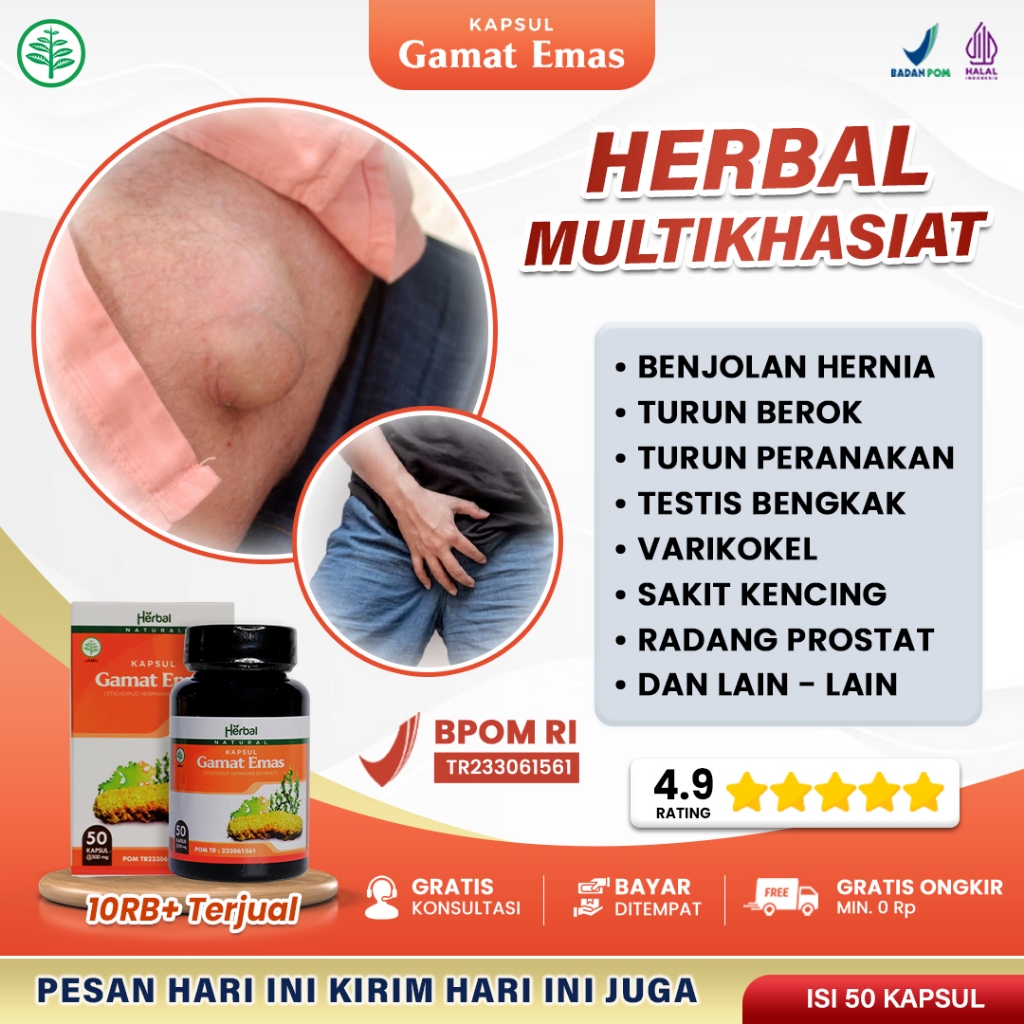 Obat Hernia Pria, Turun Berok, Buah Zakar Bengkak, Varikokel Hidrokel, Peyronie, Peyronie Bengkok, S