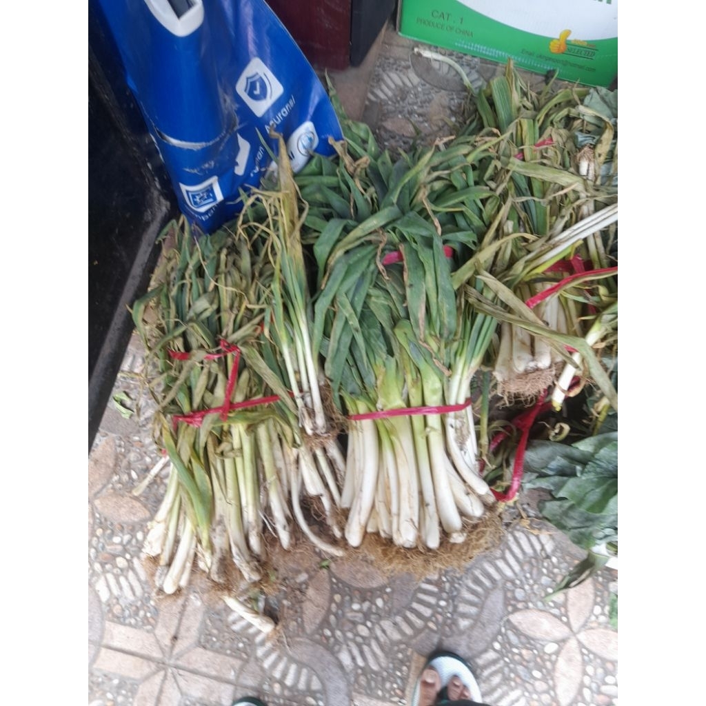 

bawang pre murah 1 kg