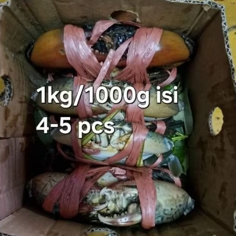 

Kepiting Bakau Hidup / Segar 1Kg Isi 4-5 Ekor – Daging Tebal, Fresh dari Tambak