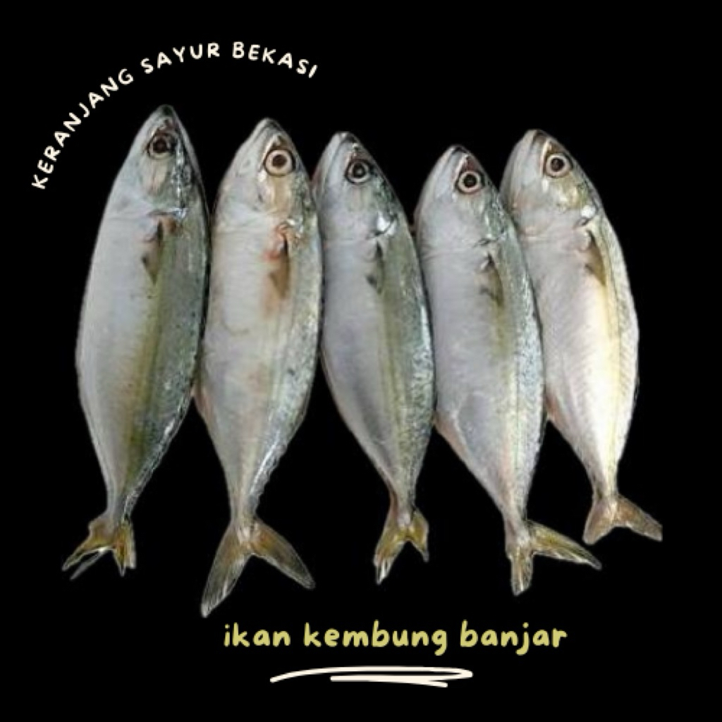 

ikan kembung banjar