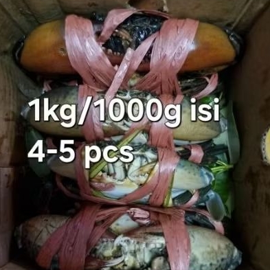 

Kepiting Bakau Hidup / Segar 1Kg Isi 4-5 Ekor – Daging Tebal, Fresh dari Tambak dan alam