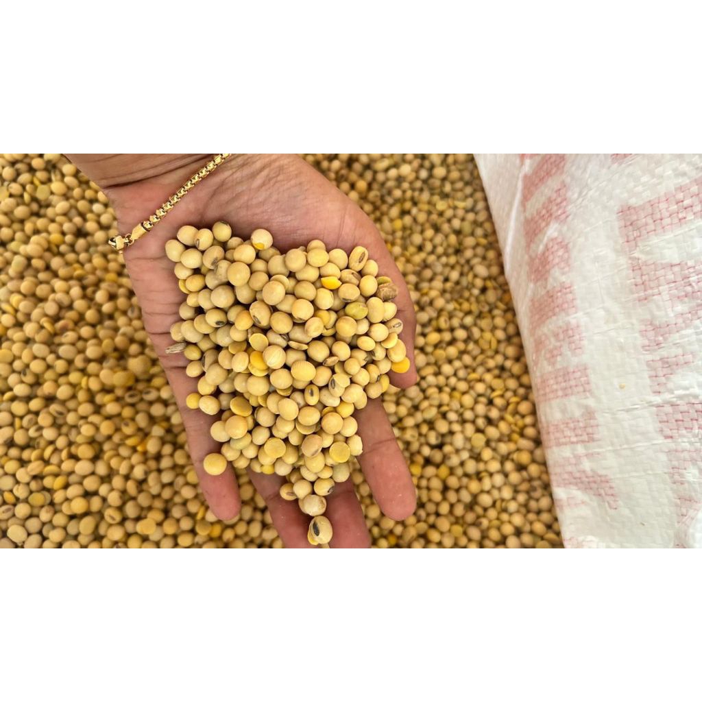 

PAKET KEDELAI 1KG + 50GR RAGI TEMPE RAPRIMA