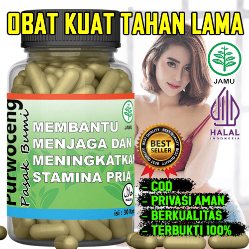 Purwoceng Pasak Bumi Menambah Stamina Pria 100% Herbal Alami