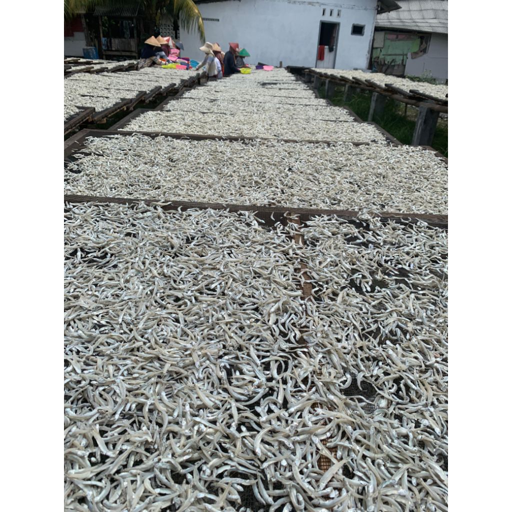 

IKAN TERI BUNTIAU/BUNTIAW 500GRAM