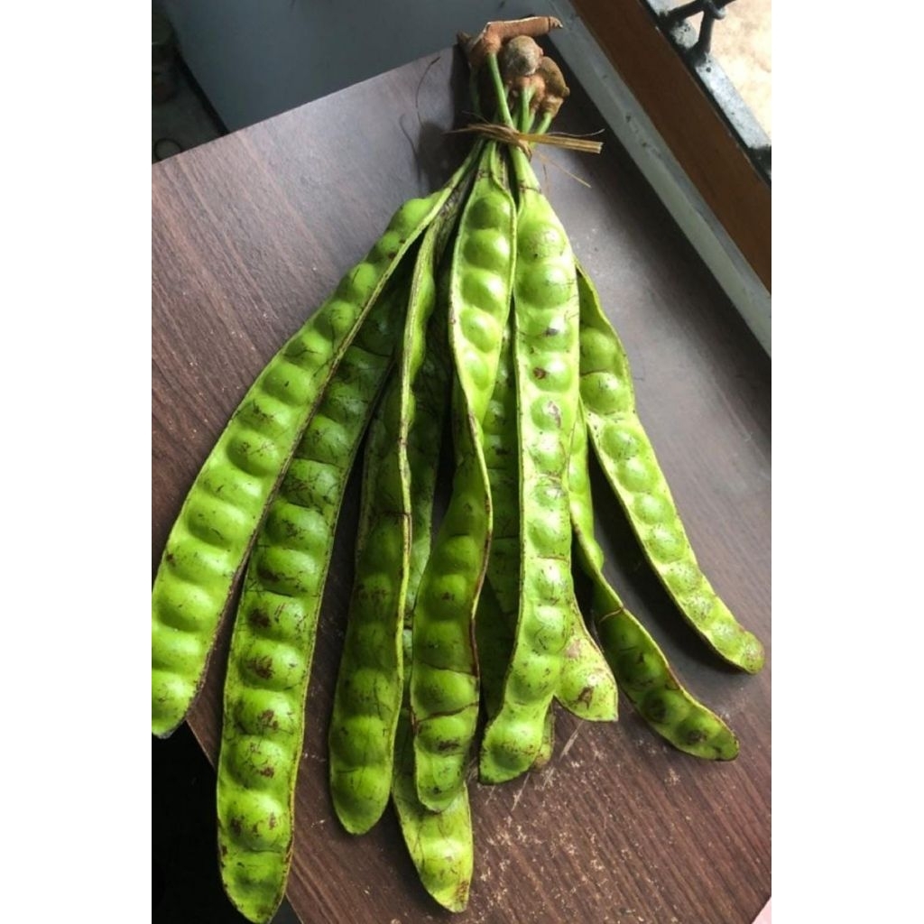 

Pete / petai 1 papan