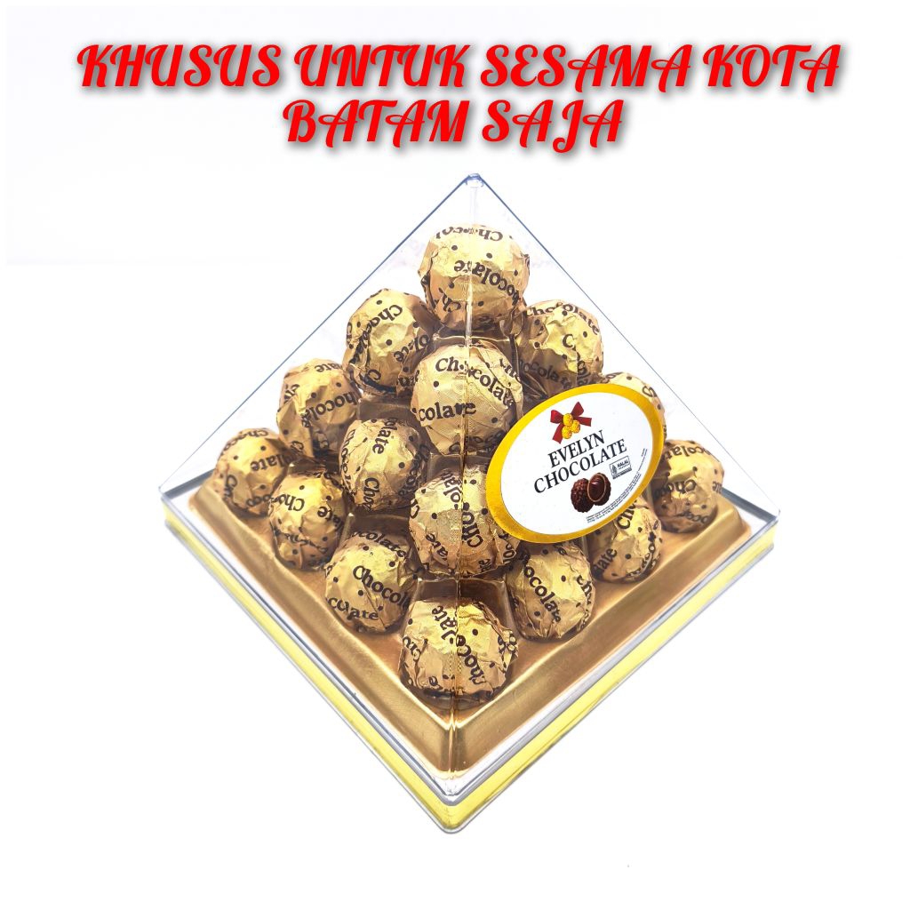 Naraya Evelyn Chocolate 312 gram isi 25 pcs
