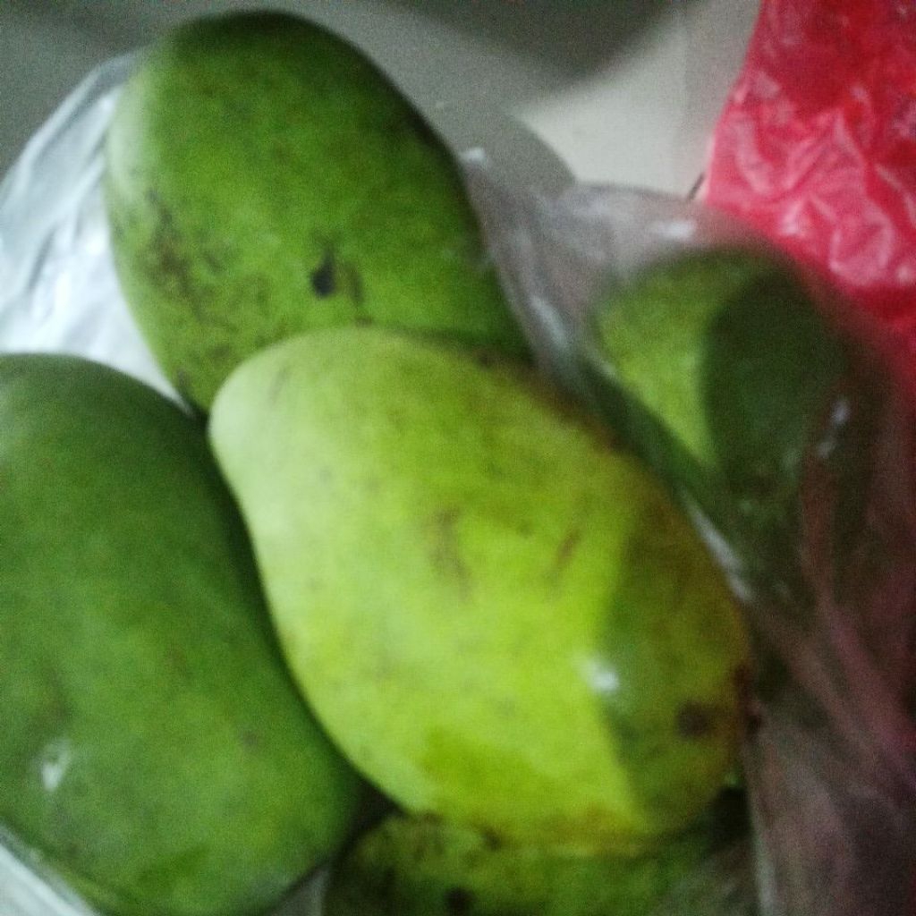 

mangga