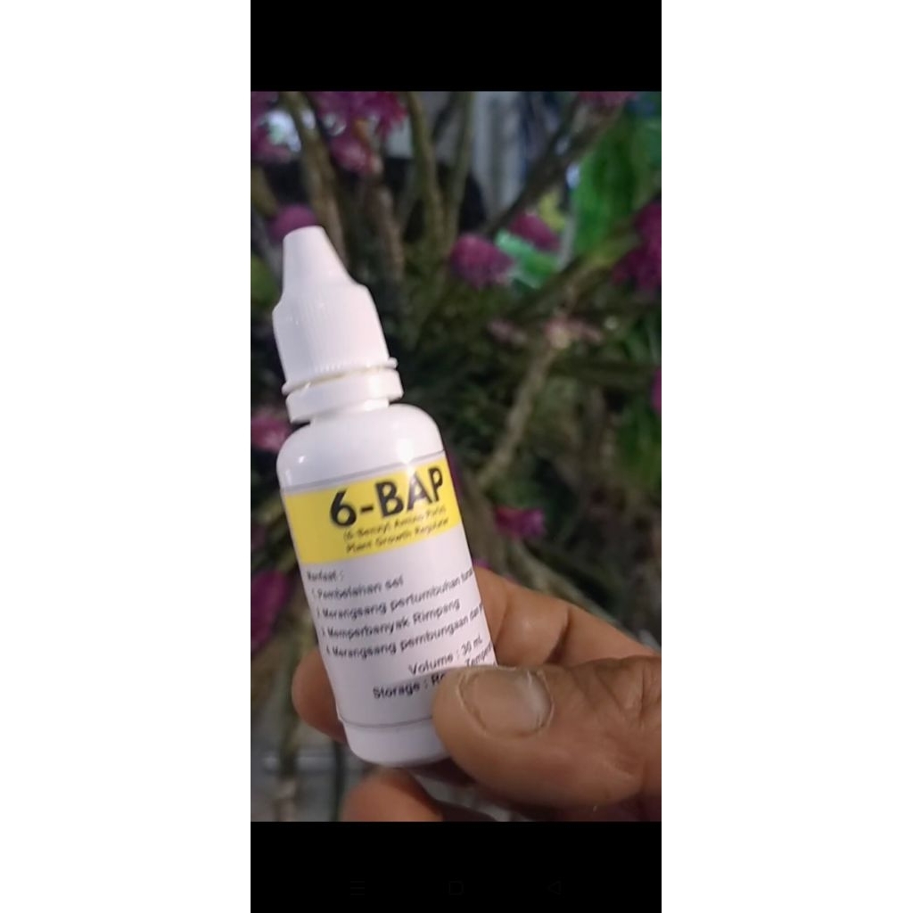Alltechshop_ " Hormon Anggrek 6Bap" (Perangsang Tunas & Pembungaan Anggrek)