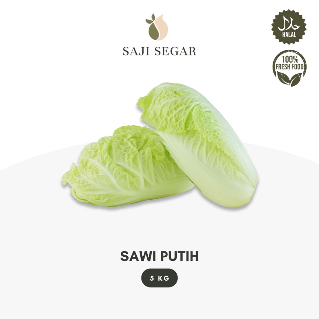 

Saji Segar Sawi Putih Grosir