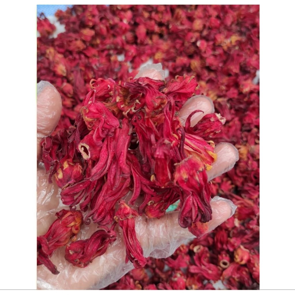 

500 Gram Bunga Rosella Merah Kering Kualitas Premium langsung dr petani