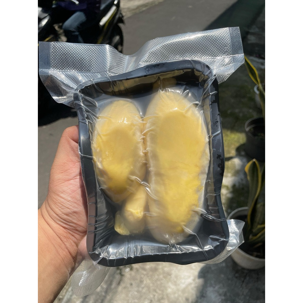 

DURIAN MONTHONG TOLAI SAUSU KUALITAS EKSPOR