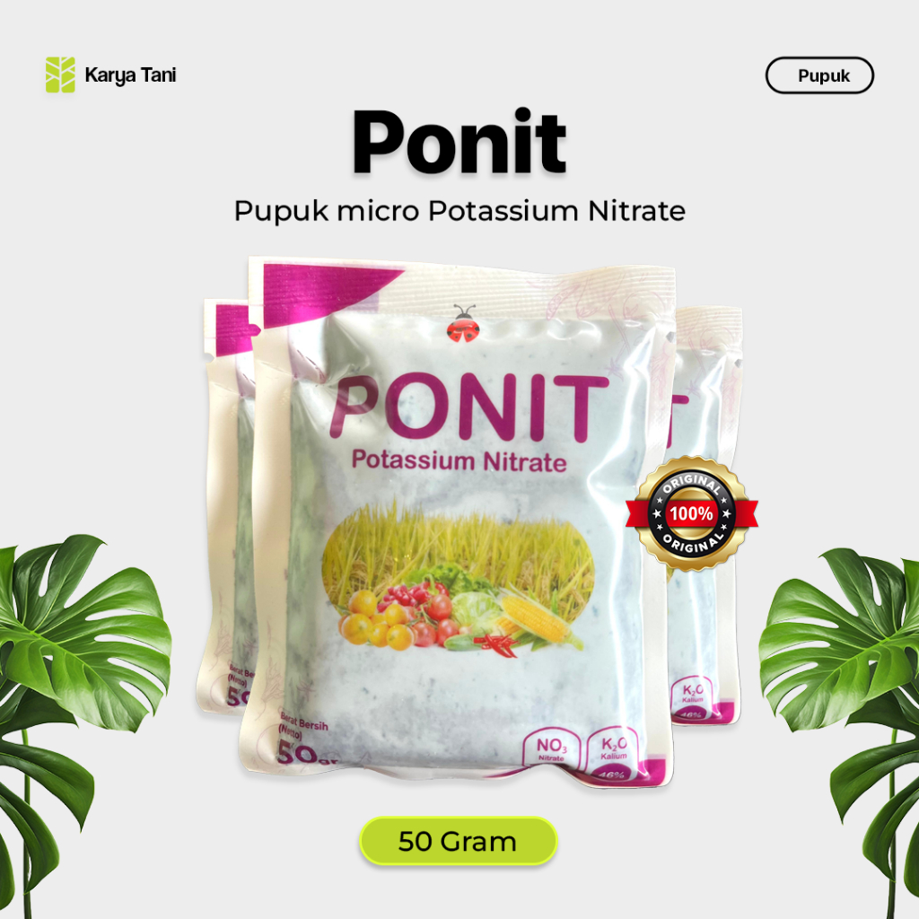 POTASSIUM NITRATE PONIT PUPUK MICRO 50 GRAM