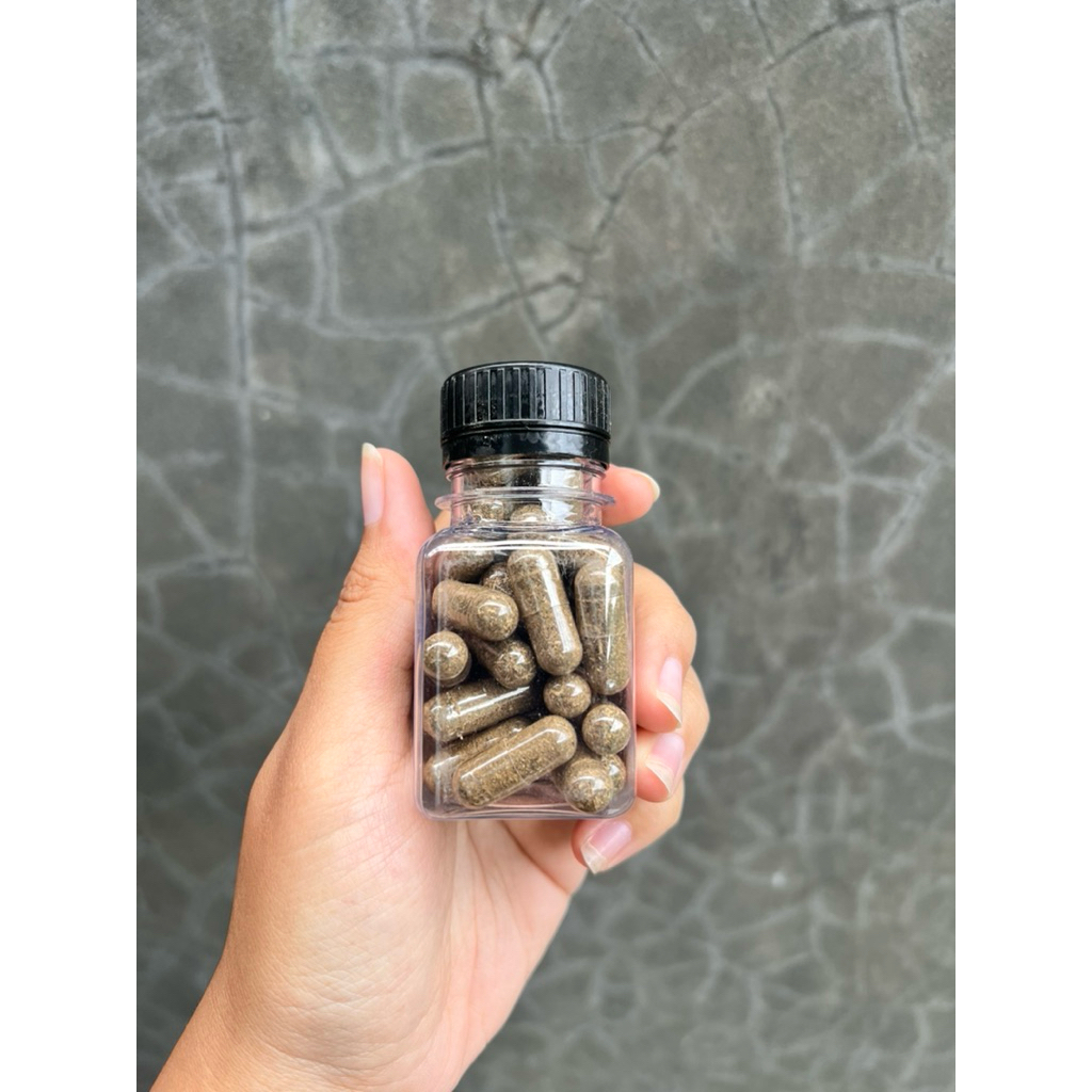 PURWACENG MURNI ASLI DIENG ( Asmara Pradja )