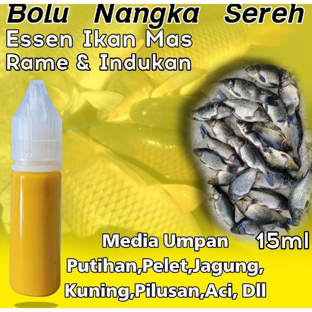 Eseen ikan mas paling gacor aroma bolu nangka sereh / essen ikan mas kilo gebrus / essen ikan mas ba
