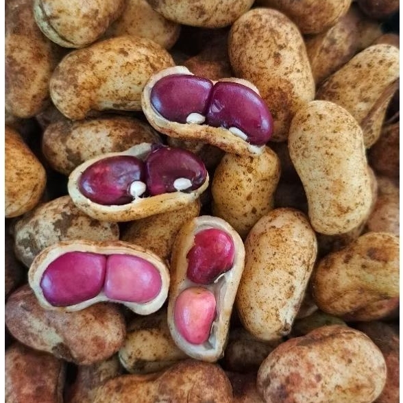 

KACANG TANAH POLONG BOGOR SUPER 1000 GRAM