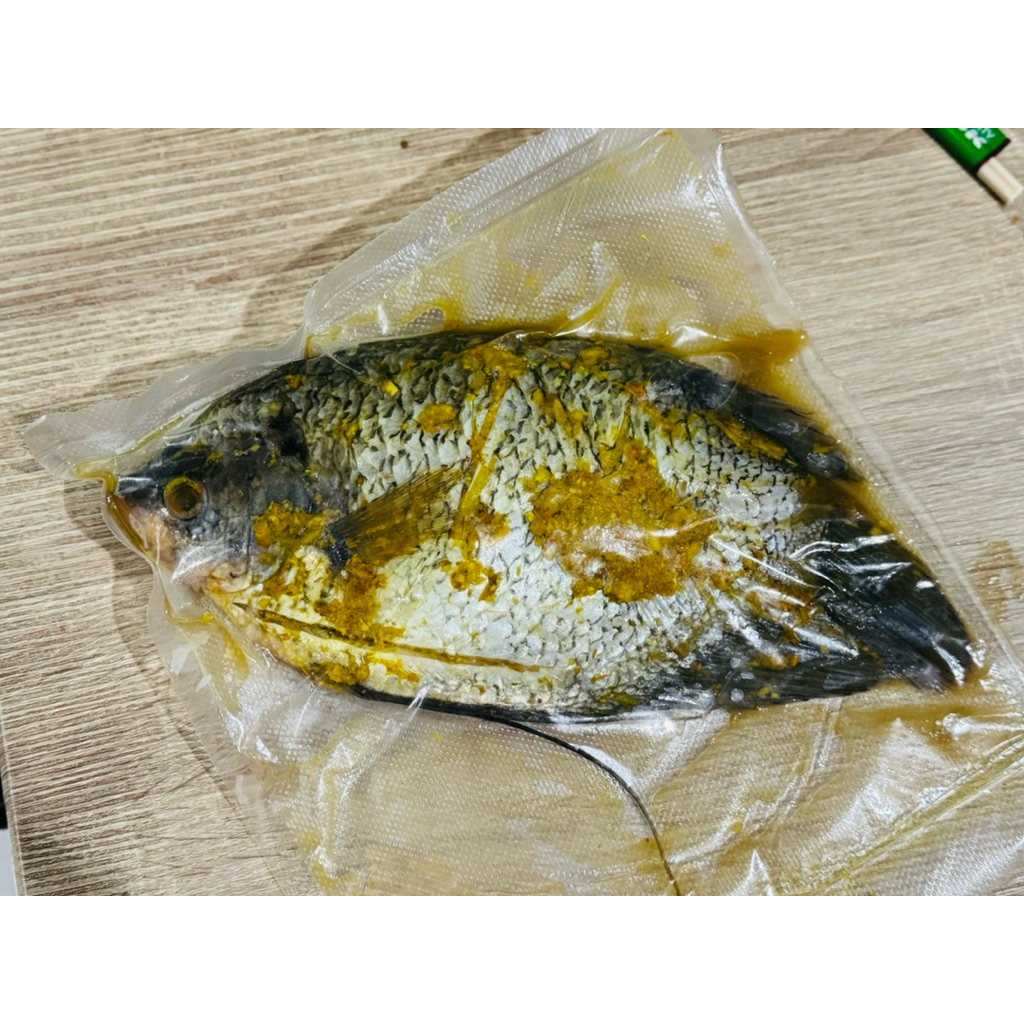 

IKAN MARINASI - Ikan Gurame