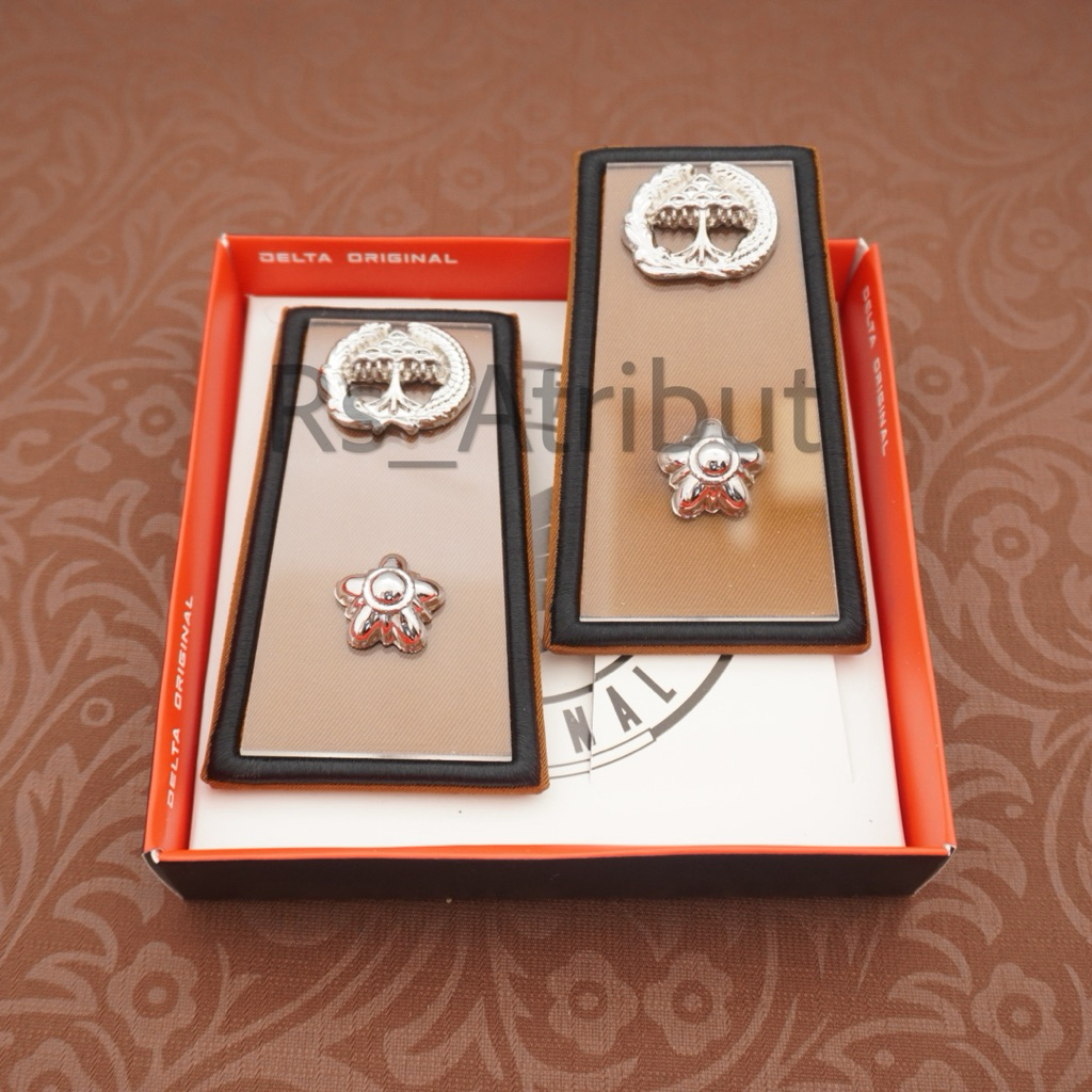 Pangkat Pns Lampung 3A Mika akrilik / Pangkat Asn Lampung Beringin Premium