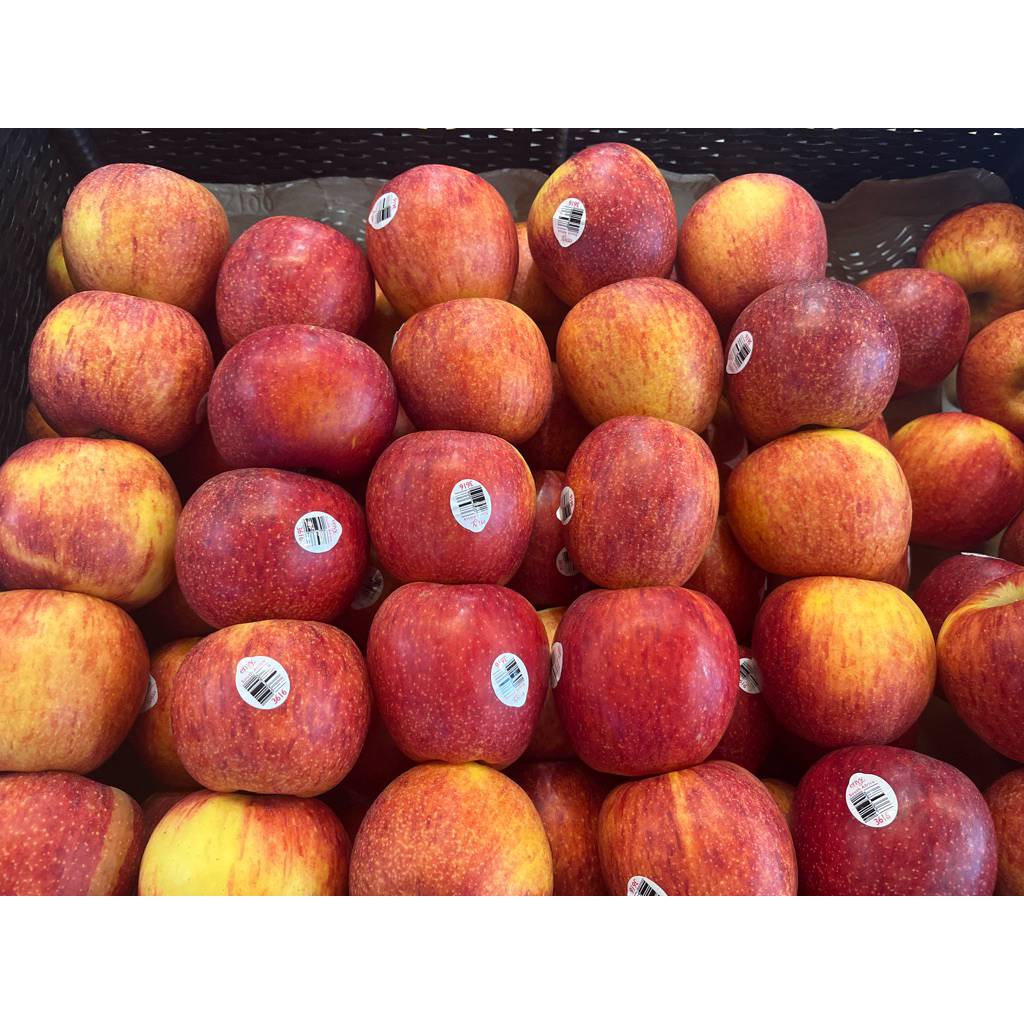 

Apel Envy Afrika Jumbo 900-1000kg