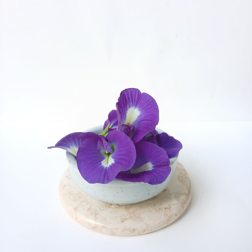 

Bunga Telang fresh 7 pcs telang utuh segar✅️