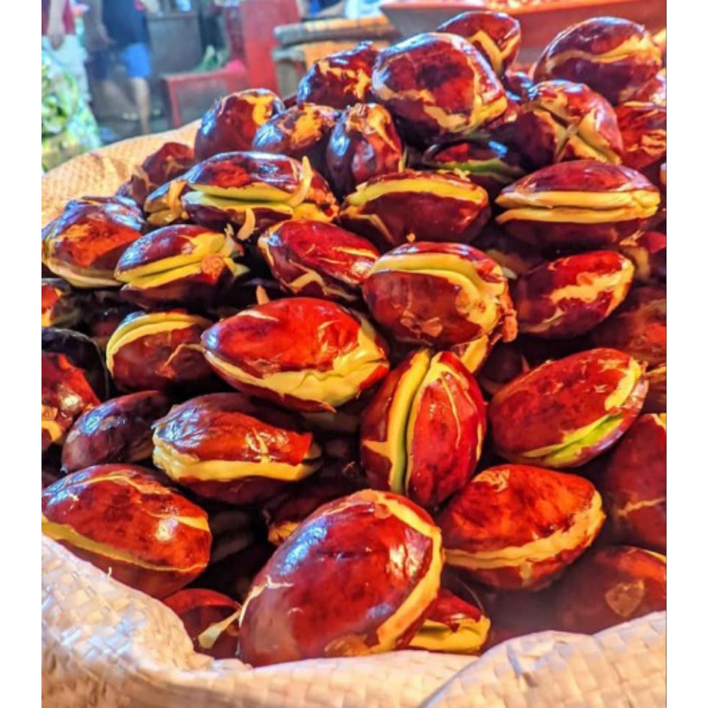 

Jengkol Tua Super 1Kg/500gr