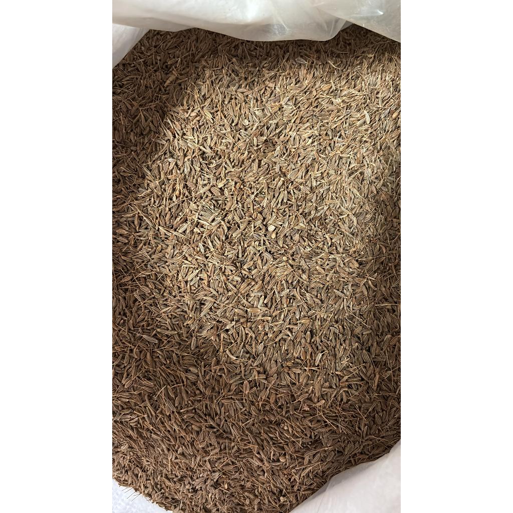 JINTAN PUTIH /JINTEN ASLI 1KG