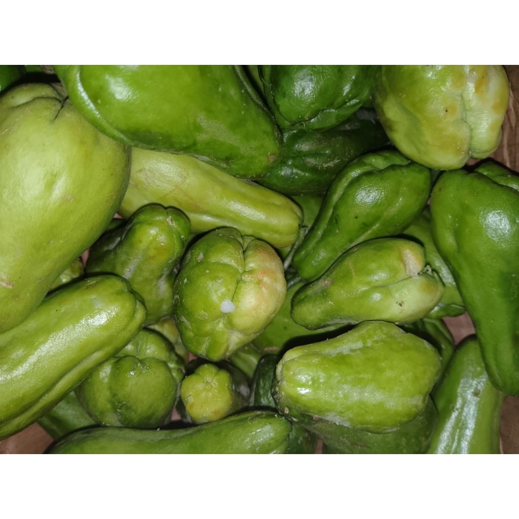 

Baby Labu Siam 500 gr