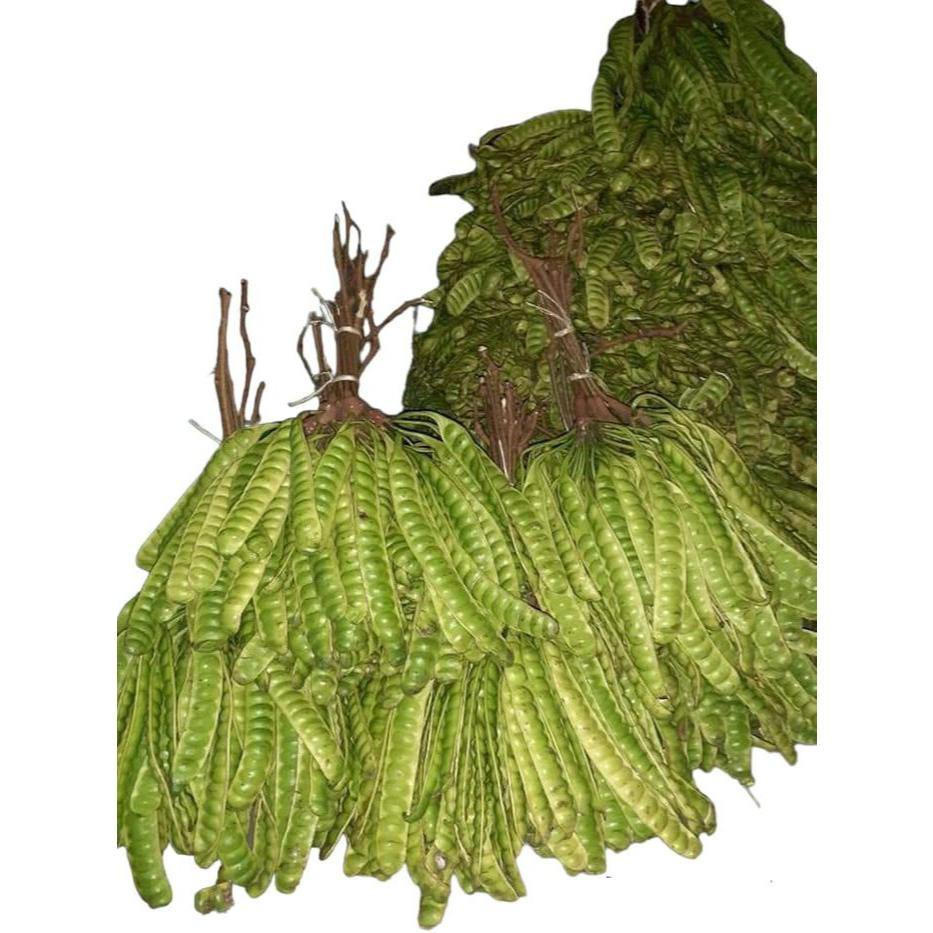 

pete/petai tua segar kualitas super kemasan isi 5 papan - Standar