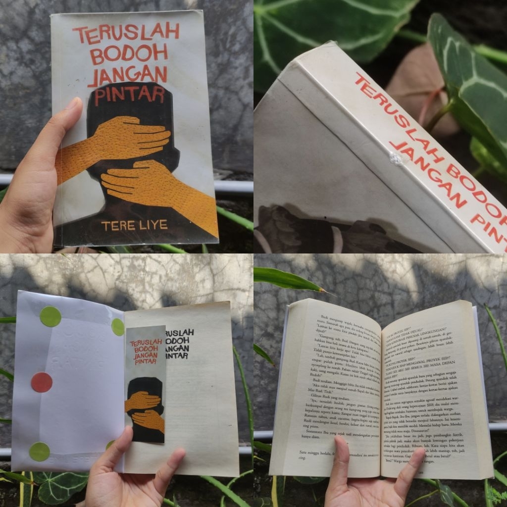 PRELOVED Buku Bekas Teruslah Bodoh Jangan Pintar oleh Tereliye