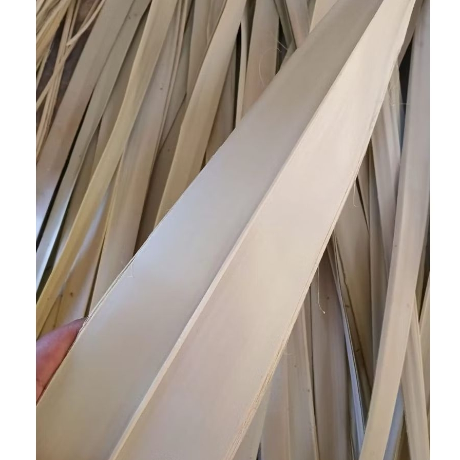 

44 Lembar Daun Lontar Lidi Khusus Penjor Kerajinan Dekorasi (ORIGINAL)