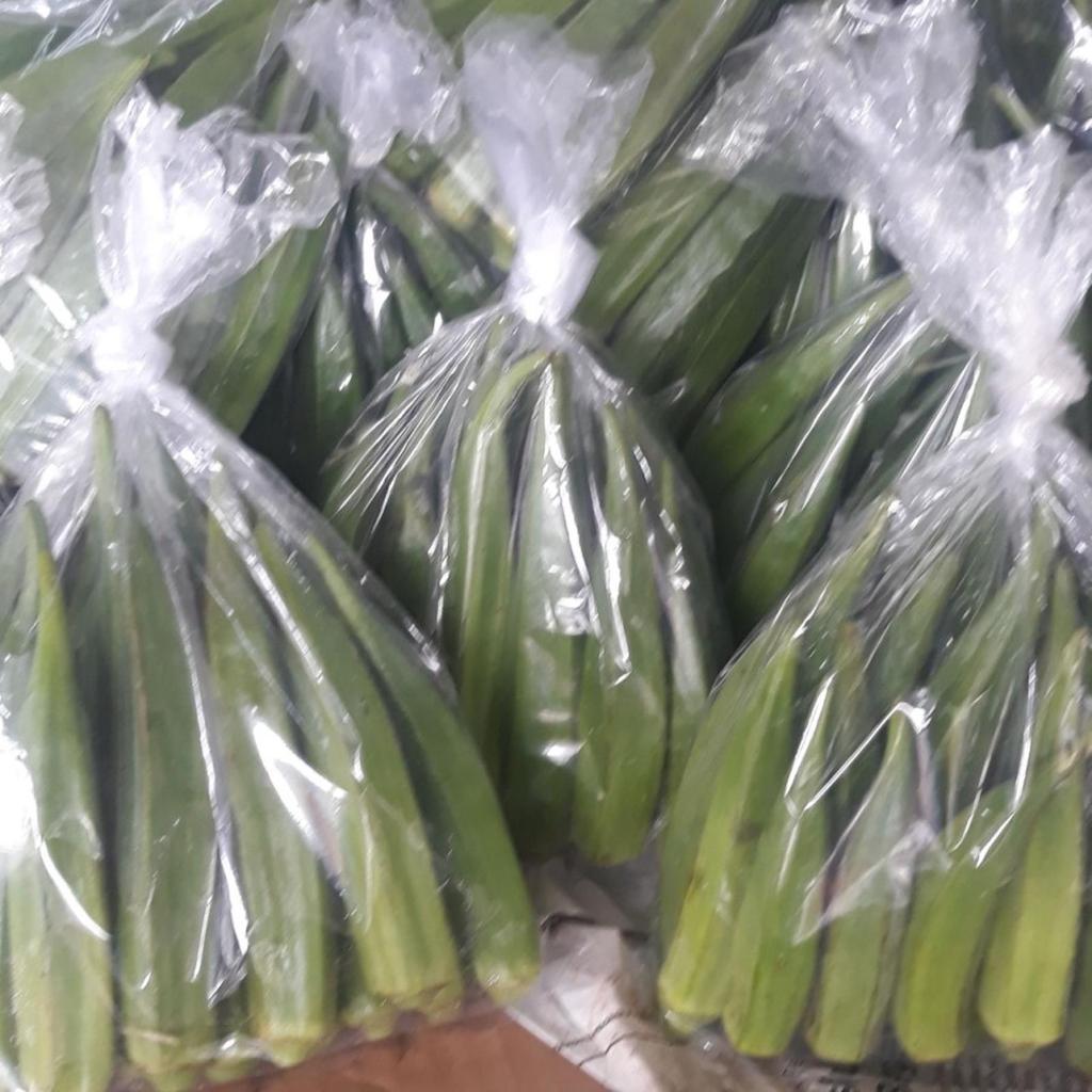 

Sayur Okra Hijau Muda Jei Theu Fresh Segar 1 Kantong 200gram Bendi Lady Finger