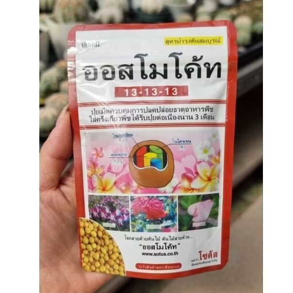 PUPUK TANAMAN DEKASTAR OSMOCOTE 131313 THAILAND 100 & 500 gram ORI