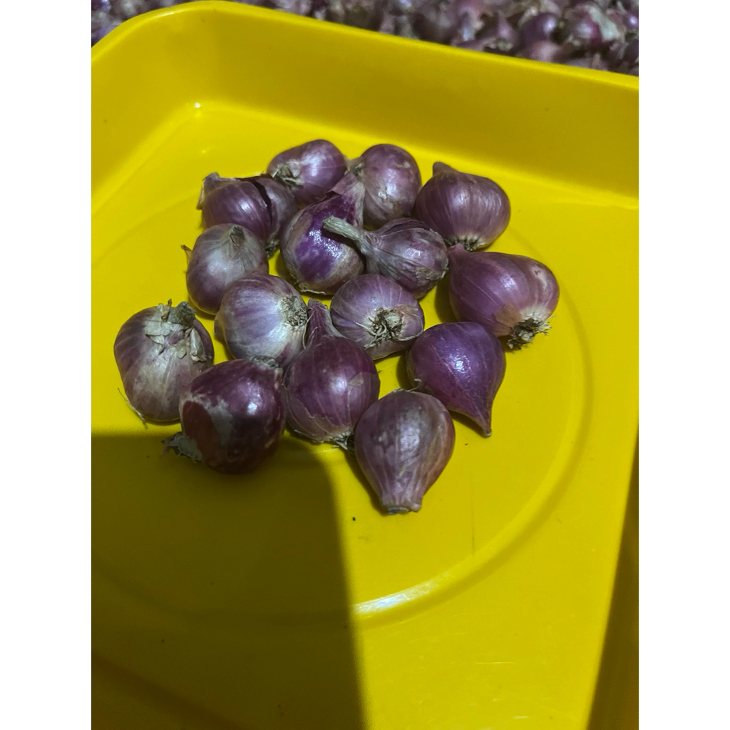 

Bawang Merah size Beaar kemasan 500gr