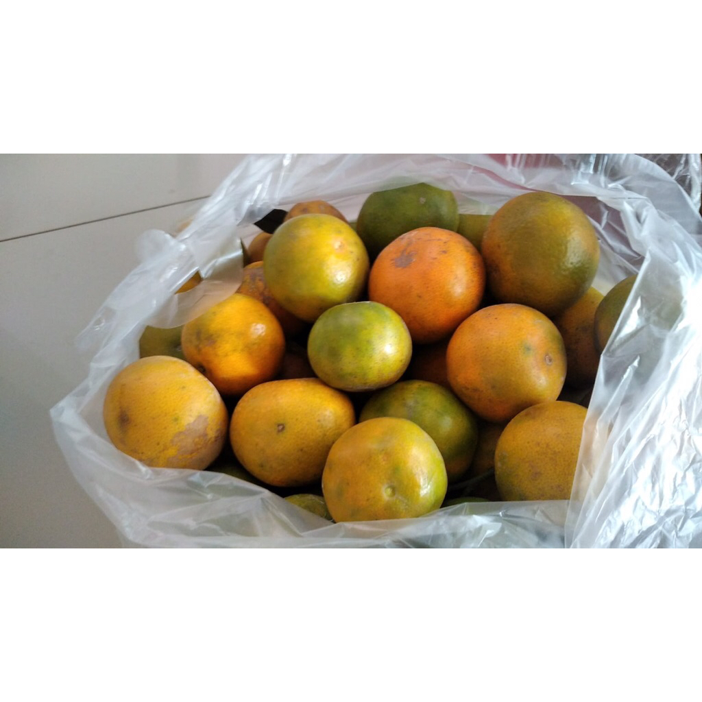 

jeruk santang lokal manis segar 1kg