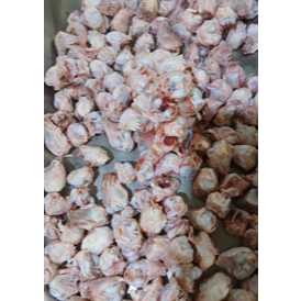DENGKUL AYAM 1KG/ LUTUT AYAM/AYAM BROILER/TULANG empuk LUTUT AYAM/TULANG  LUTUT AYAM