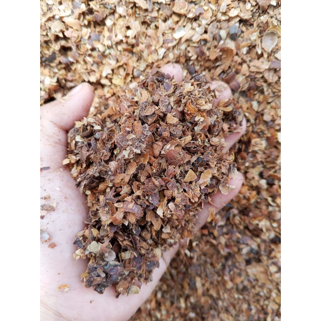 Sekam kopi/ Dedak kopi 1kg, 1 karung dst
