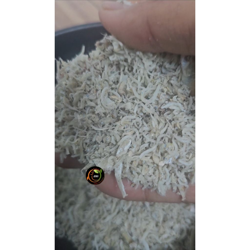 [ TERJANGKAU ] TERI BENANG MEDAN / TERI LONTONG MEDAN