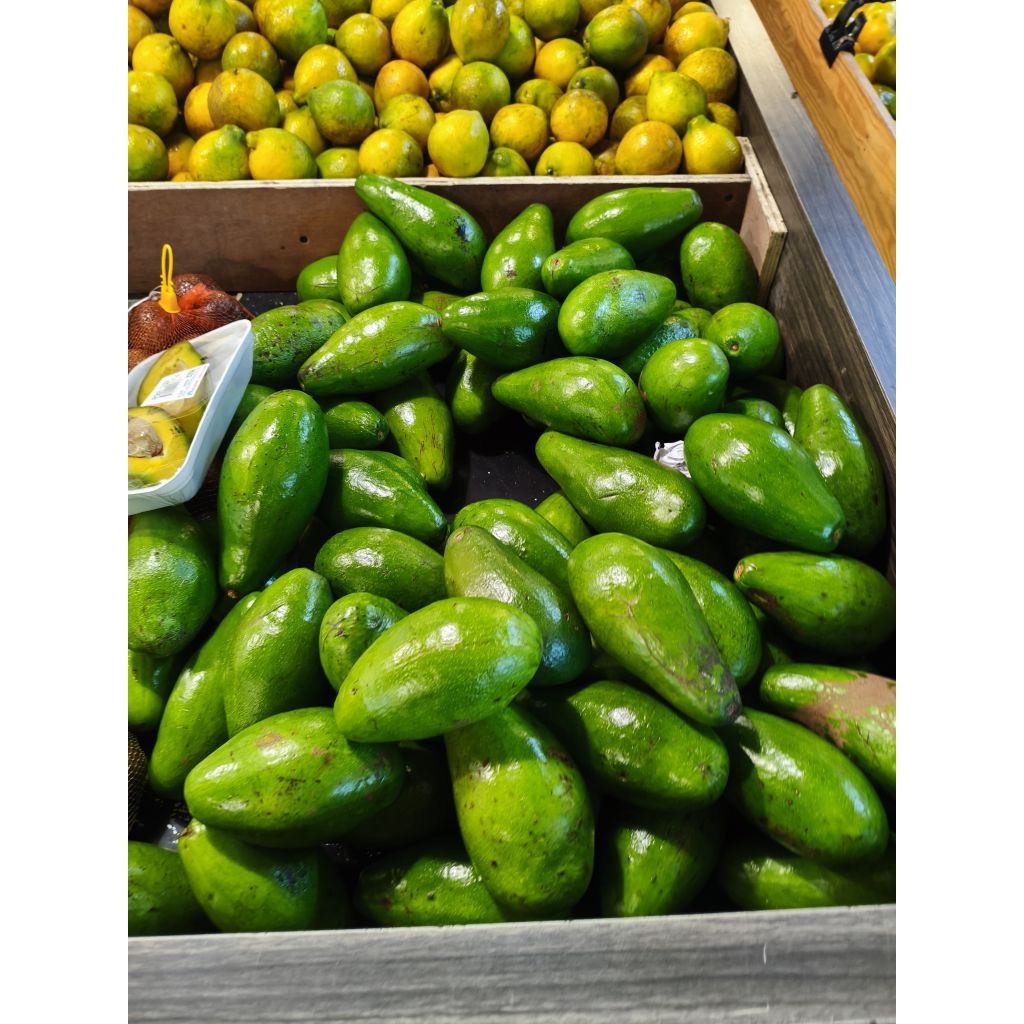 

Alpukat Mentega Siger Creamy Premium 1-5kg