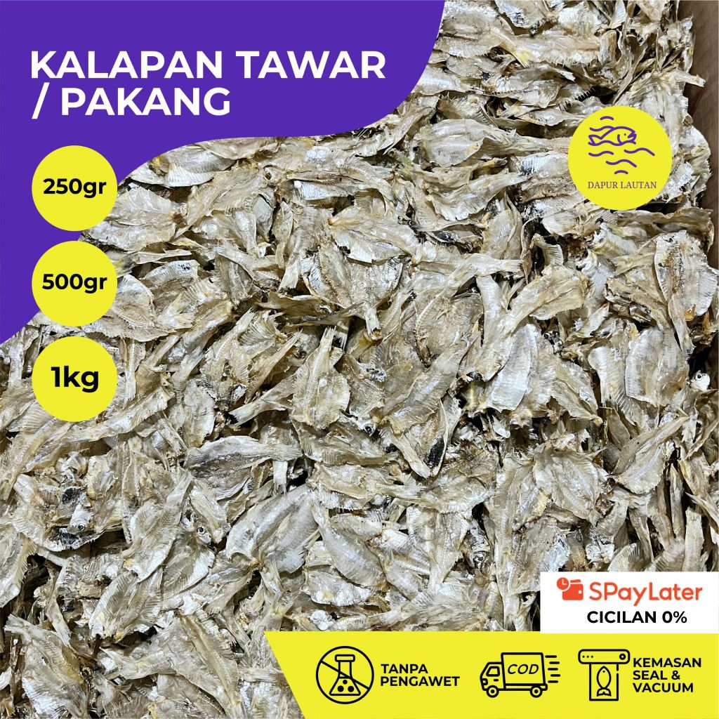 

Ikan Asin Kalapan Tawar / Pakang Berat 250 gram, 500 gram, & 1 kg