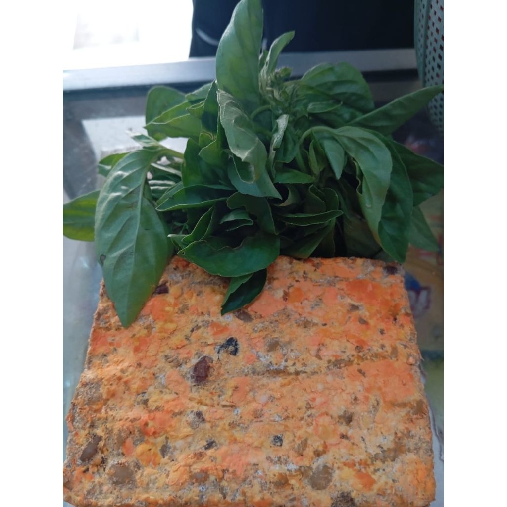 Oncom Kacang Khas Bandung