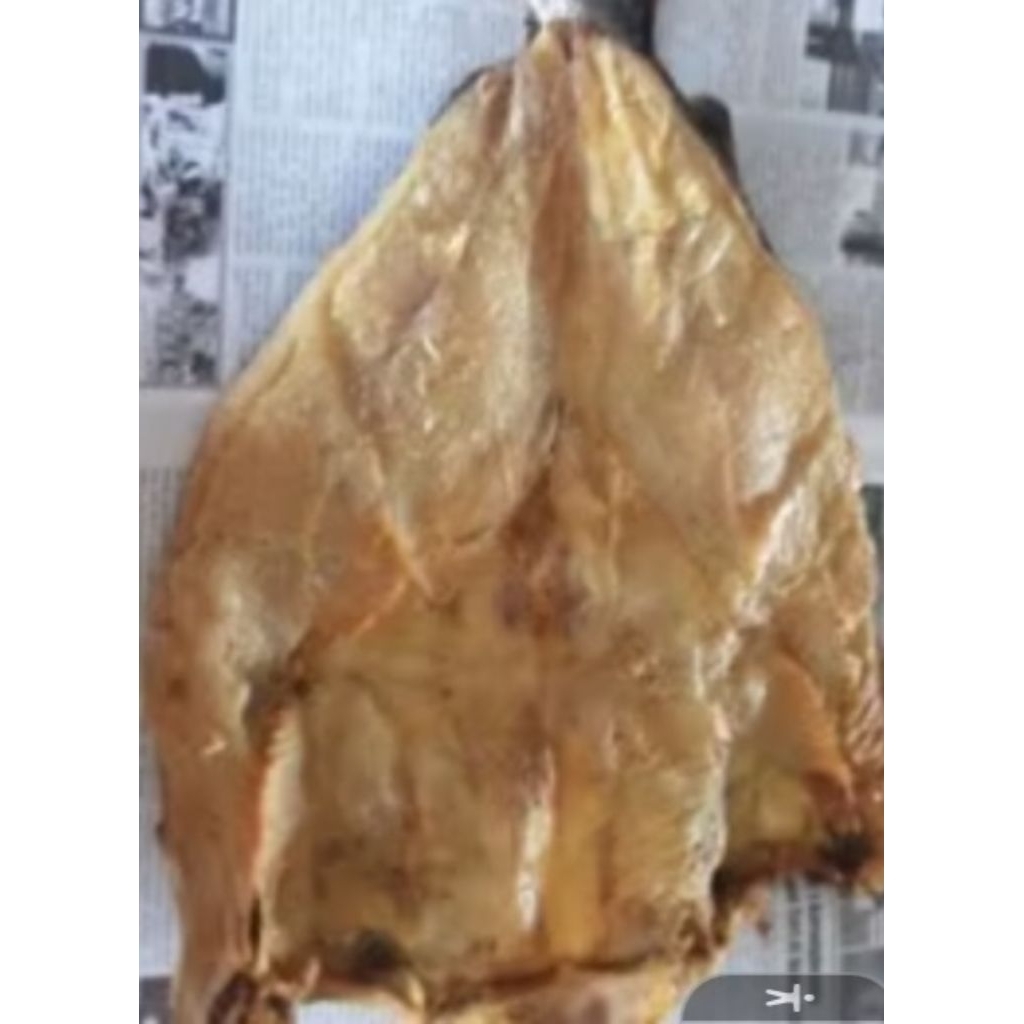 

Ikan Asin Jambal Roti Super Mentega 1kg