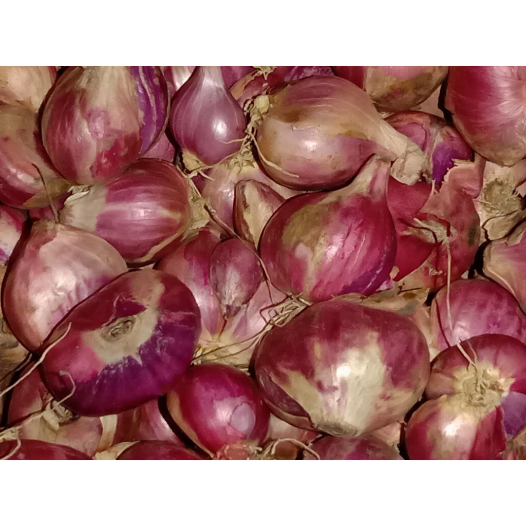 

BAWANG MERAH 1KG BESAR CAMPUR KERING ASLI LOKAL NGANJUK